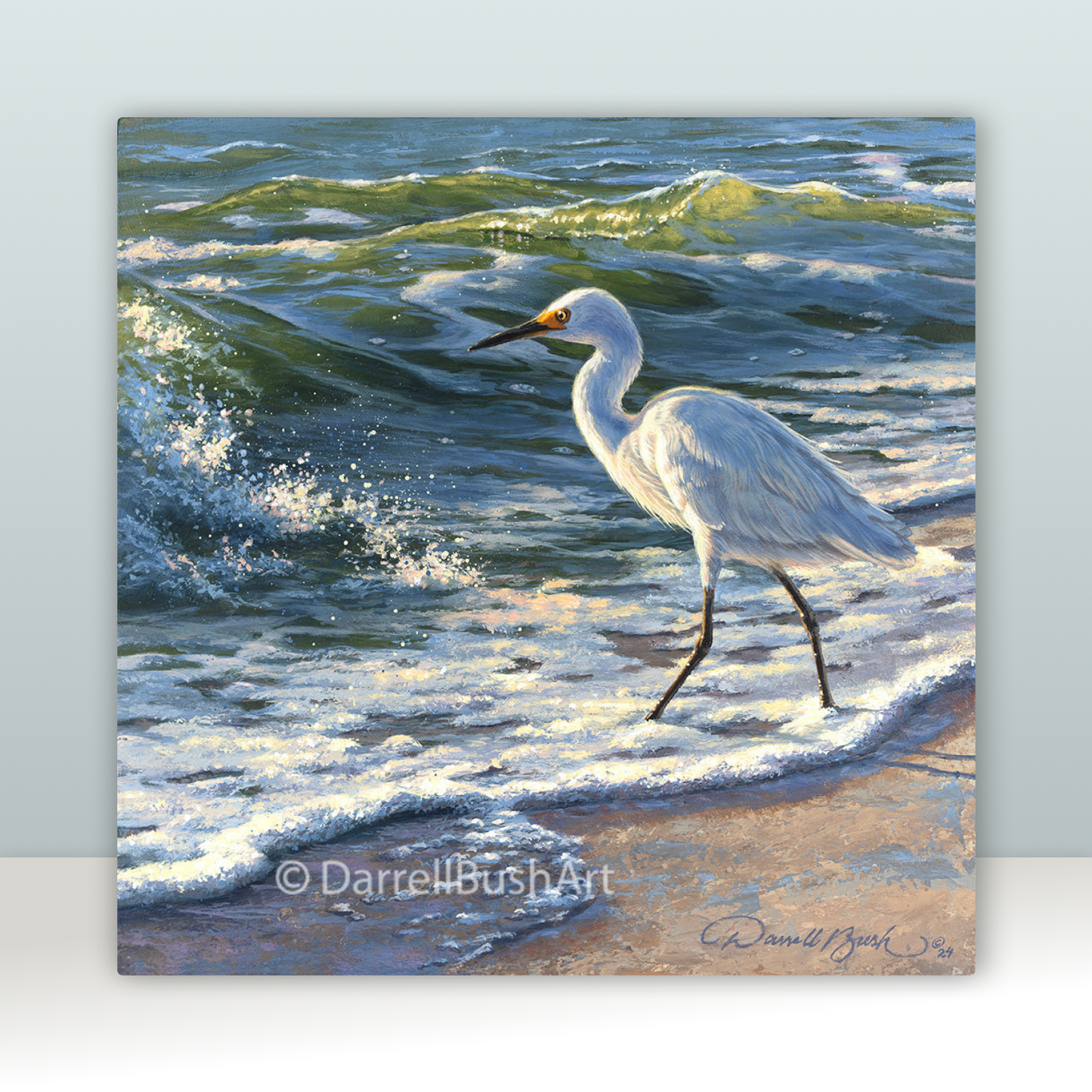 Beachcomber