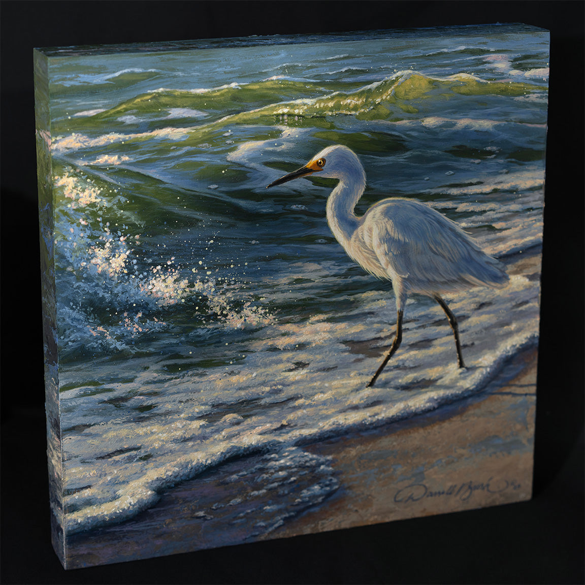 Beachcomber-Snowy Egret