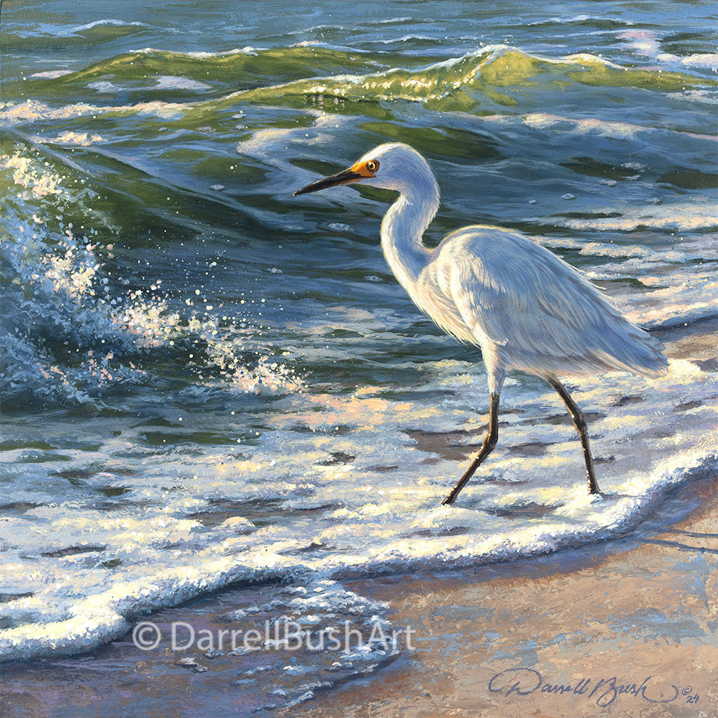Beachcomber