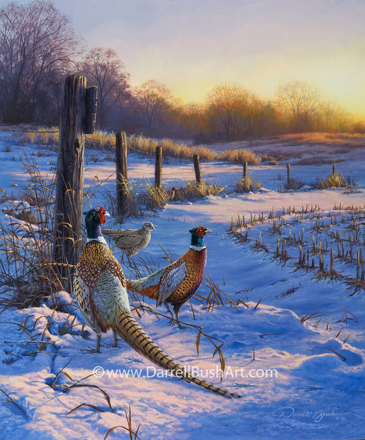 Fence Line Pheasants