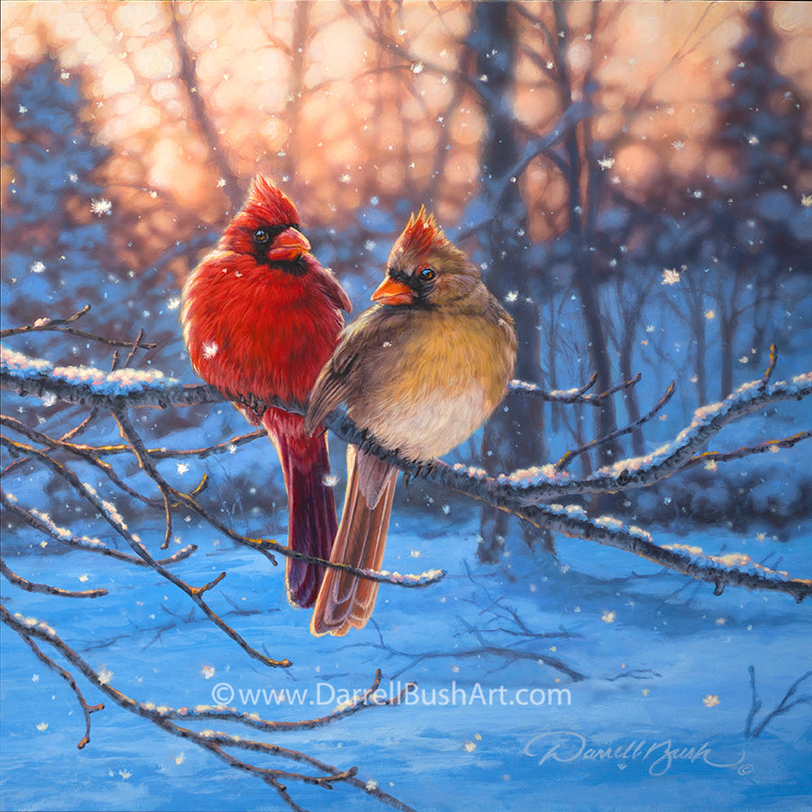 Love Birds