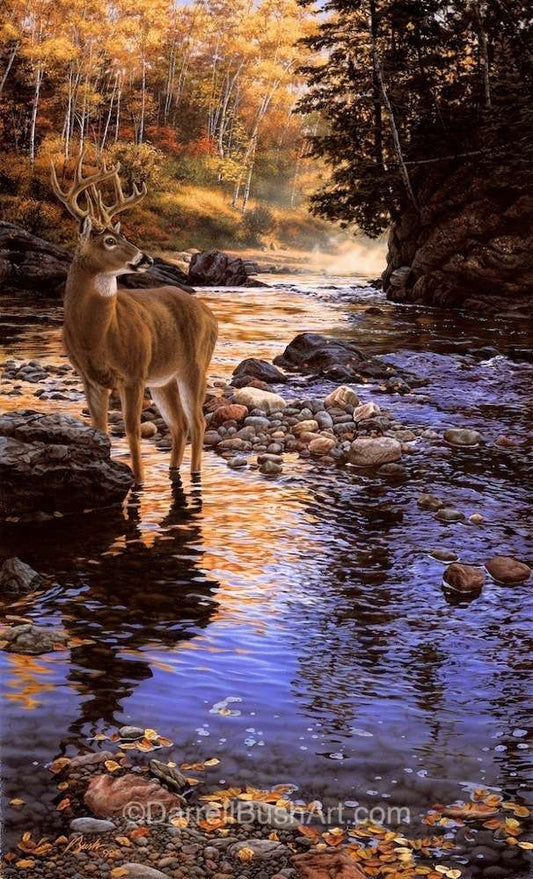 Shallow Crossing