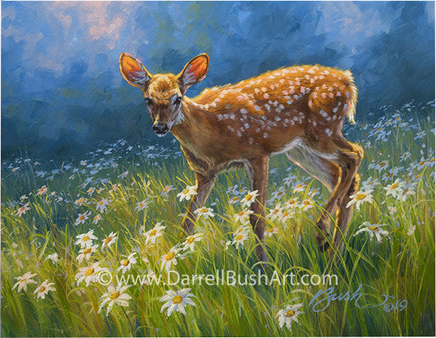 The Yearling original