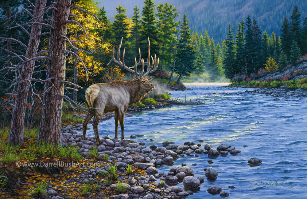 Trophy in the Canyon
