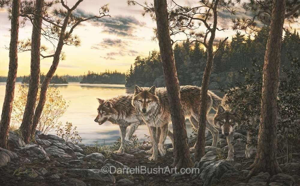 Twilight Encounter