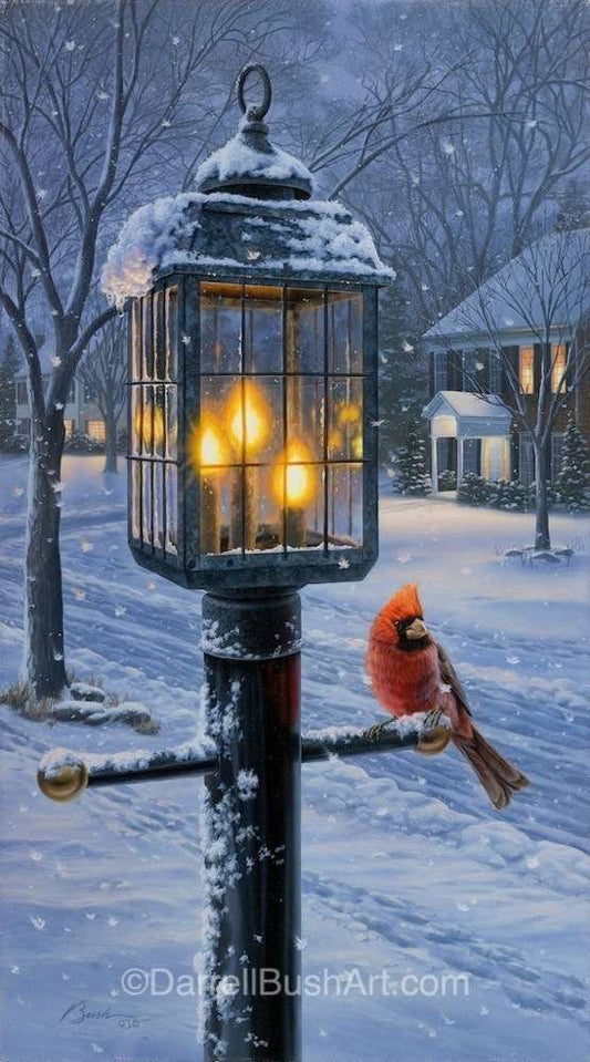 Warmth of Winter I