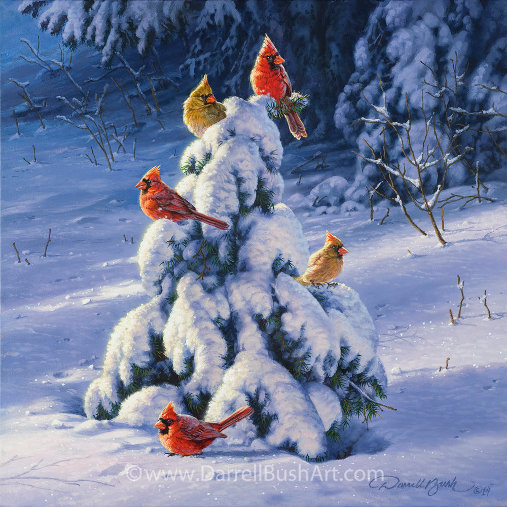 Winter's Gift