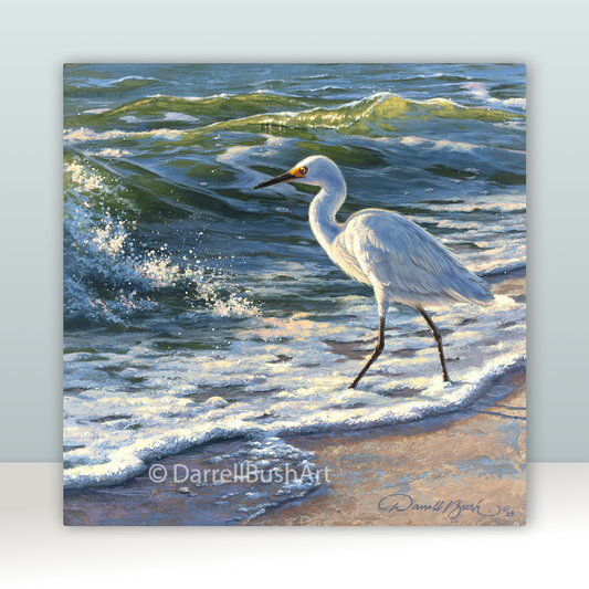 Beachcomber-Snowy Egret