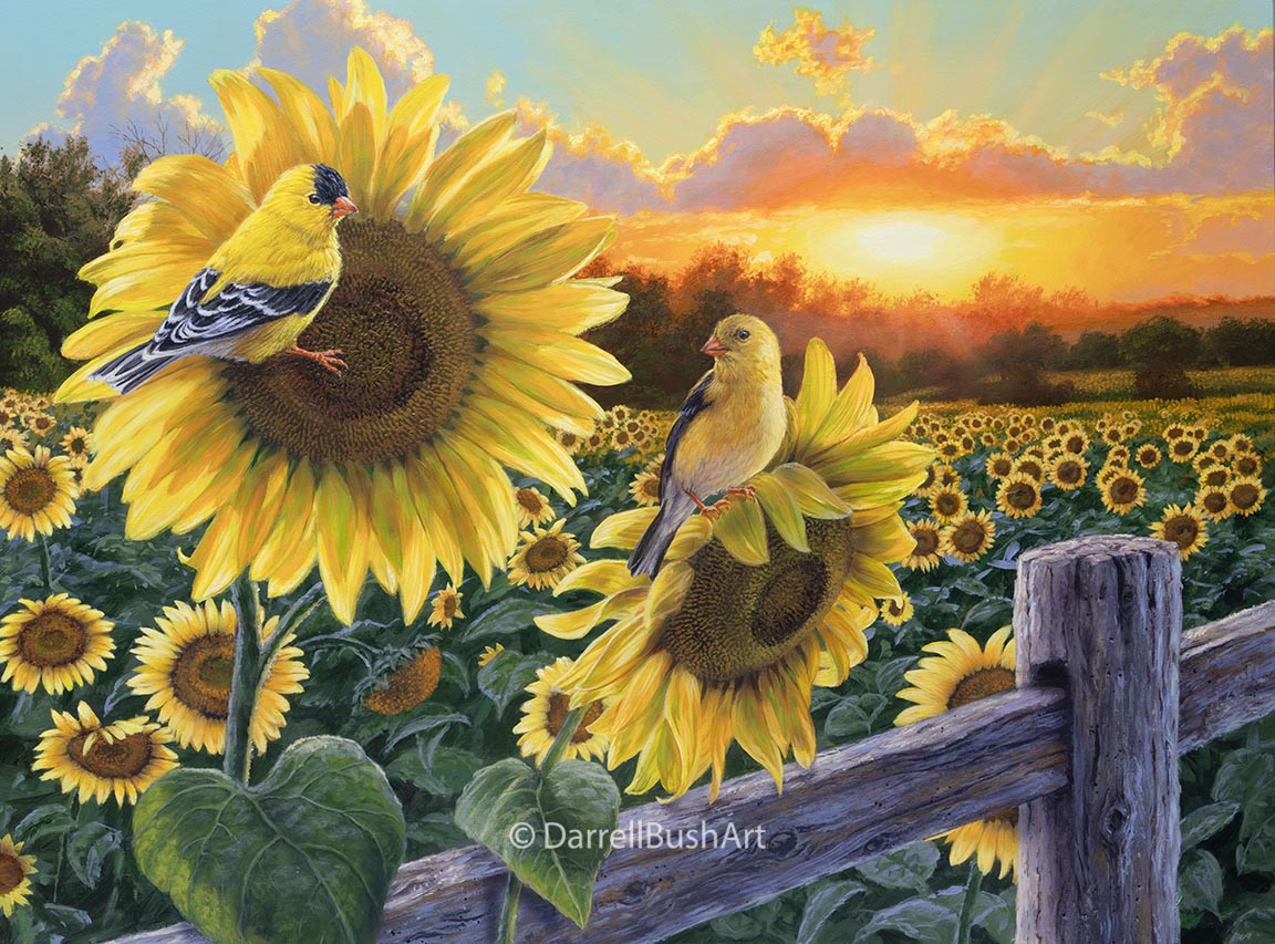 Field of Gold