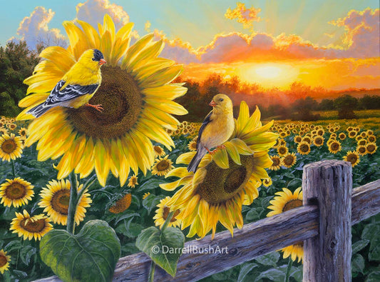 Field of Gold