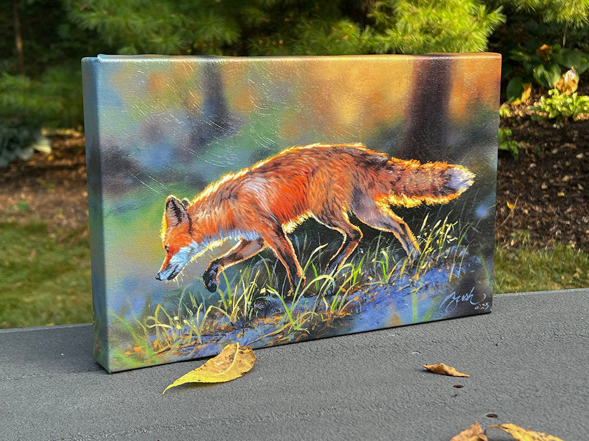 Fox on the Run