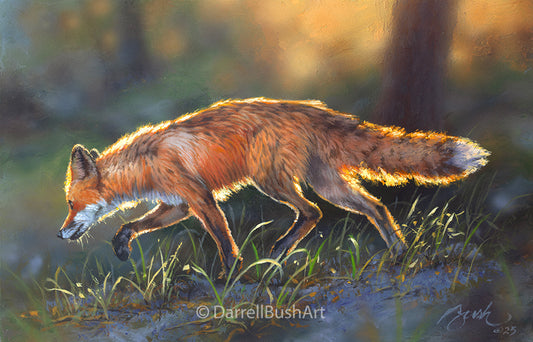 Fox on the Run