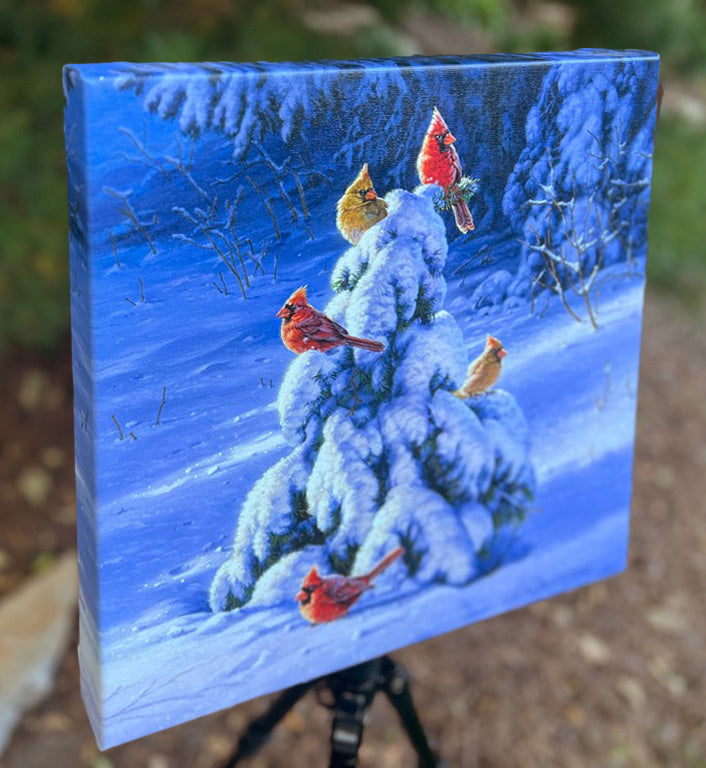 Winter's Gift